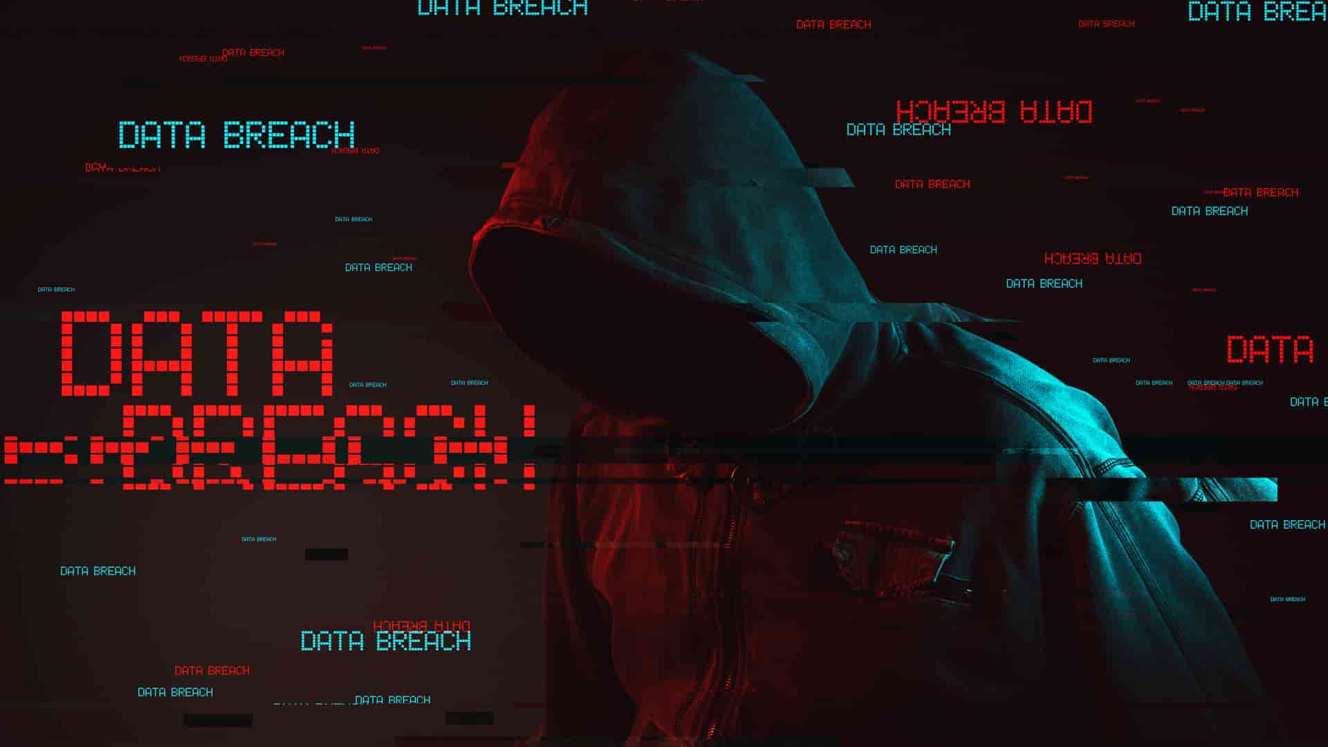 大白白网创联盟｜稀缺网创干货，全站仅限会员访问，游客无服务